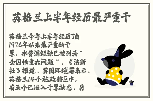 老年镖客在线观看免费